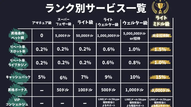 ベットランク解説　ボーナス　口コミ秒版　入出金方法　VIPランク